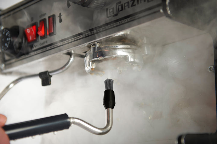 Joe Frex Cleaning Steam Brush