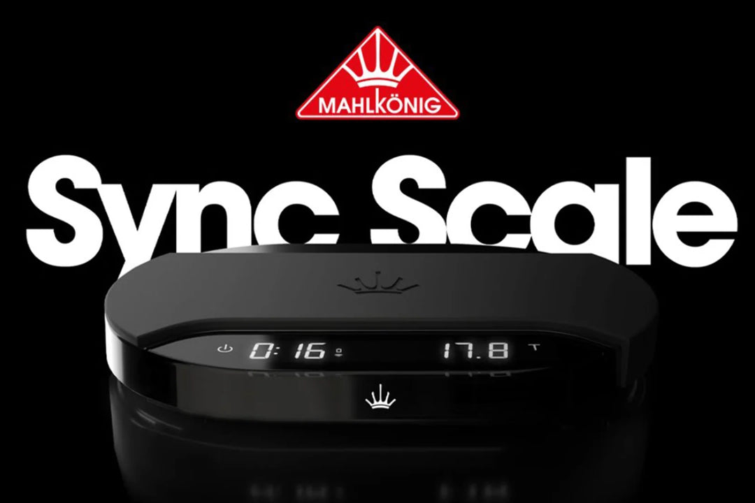 Mahlkönig Sync Scale